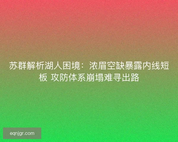 苏群解析湖人困境：浓眉空缺暴露内线短板 攻防体系崩塌难寻出路