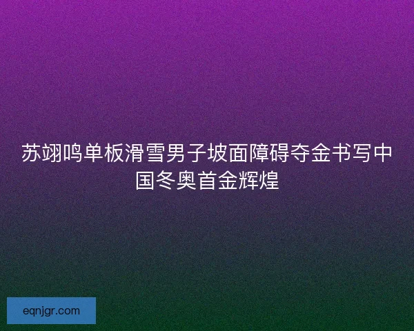 苏翊鸣单板滑雪男子坡面障碍夺金书写中国冬奥首金辉煌